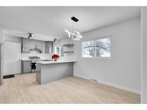 2033 Cottonwood Crescent Se, Calgary, AB - Indoor Photo Showing Kitchen With Upgraded Kitchen