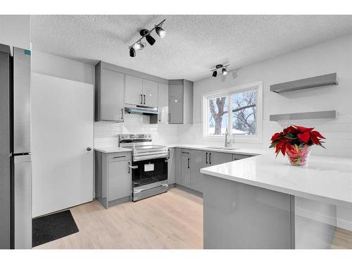 2033 Cottonwood Crescent Se, Calgary, AB - Indoor Photo Showing Kitchen With Upgraded Kitchen