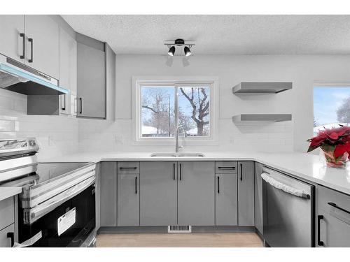 2033 Cottonwood Crescent Se, Calgary, AB - Indoor Photo Showing Kitchen With Double Sink With Upgraded Kitchen