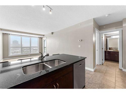 906-8880 Horton Road Sw, Calgary, AB - Indoor Photo Showing Kitchen With Double Sink