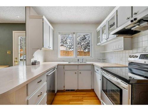 4028 Chatham Place Nw, Calgary, AB - Indoor Photo Showing Kitchen With Double Sink