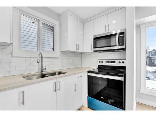 6652 Temple Drive Ne, Calgary, AB - Indoor Photo Showing Kitchen With Double Sink With Upgraded Kitchen