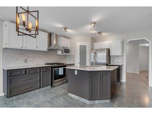 12 Riverwood Crescent Se, Calgary, AB - Indoor Photo Showing Kitchen With Stainless Steel Kitchen With Upgraded Kitchen