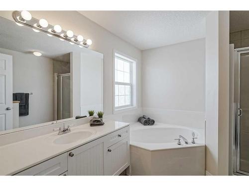 137 West Creek Glen, Chestermere, AB - Indoor Photo Showing Bathroom