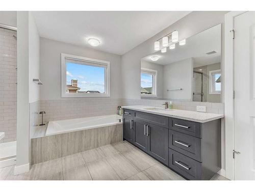 248 Sandpiper Crescent, Chestermere, AB - Indoor Photo Showing Bathroom