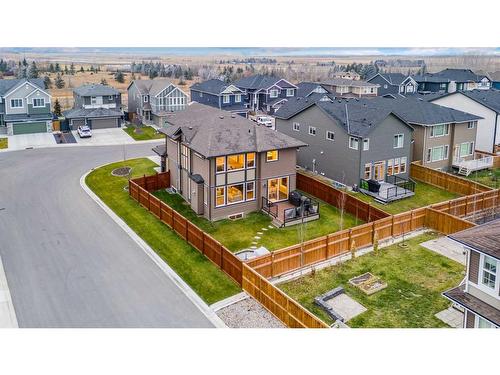 248 Sandpiper Crescent, Chestermere, AB - Outdoor