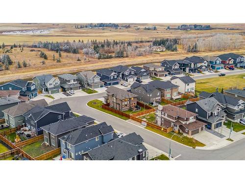 248 Sandpiper Crescent, Chestermere, AB - Outdoor With View