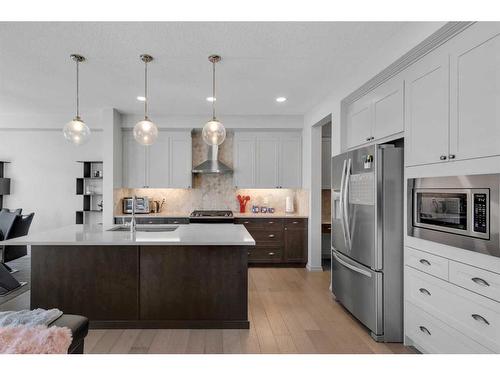 255 Savanna Lane Ne, Calgary, AB - Indoor Photo Showing Kitchen With Stainless Steel Kitchen With Upgraded Kitchen