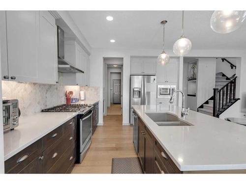 255 Savanna Lane Ne, Calgary, AB - Indoor Photo Showing Kitchen With Stainless Steel Kitchen With Double Sink With Upgraded Kitchen