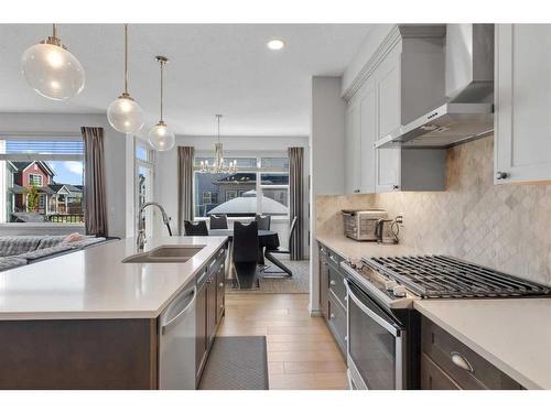 255 Savanna Lane Ne, Calgary, AB - Indoor Photo Showing Kitchen With Double Sink With Upgraded Kitchen