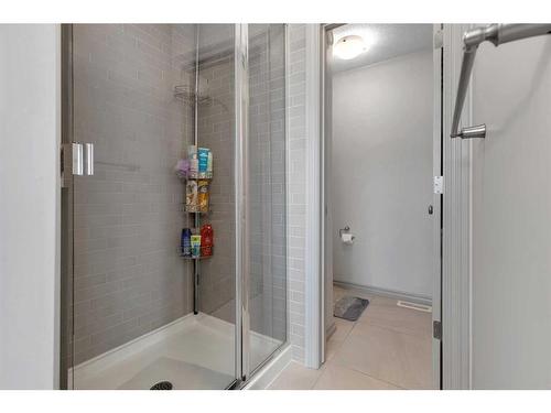 255 Savanna Lane Ne, Calgary, AB - Indoor Photo Showing Bathroom