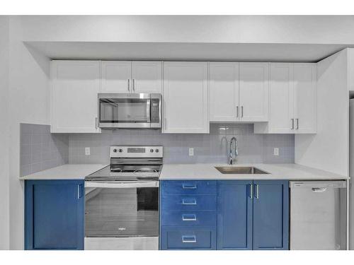 306-8535 19 Avenue Se, Calgary, AB - Indoor Photo Showing Kitchen With Upgraded Kitchen