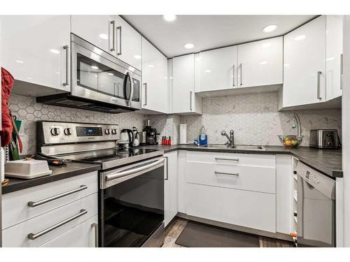 303-2423 56 Street Ne, Calgary, AB - Indoor Photo Showing Kitchen With Double Sink With Upgraded Kitchen