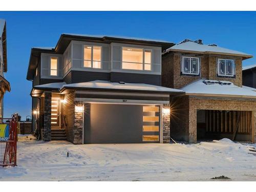 907 Langholm Drive Se, Airdrie, AB - Outdoor