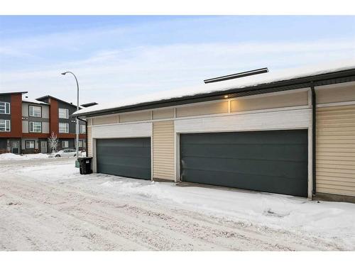 109 Skyview Parade Ne, Calgary, AB - Outdoor