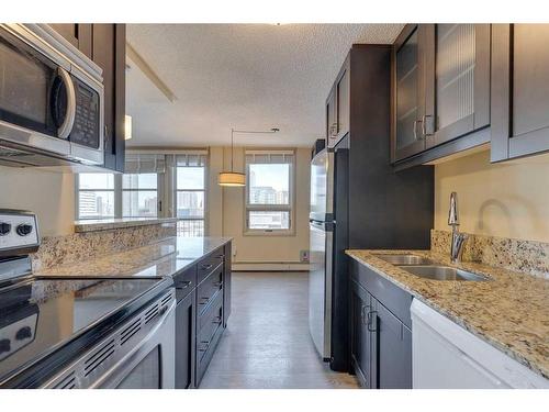 1503-733 14 Avenue Sw, Calgary, AB - Indoor Photo Showing Kitchen With Double Sink With Upgraded Kitchen