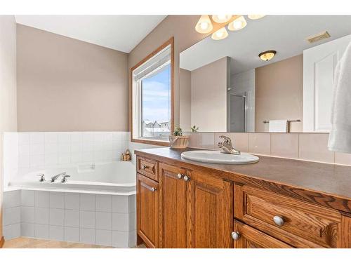 210 Saddlemont Boulevard Ne, Calgary, AB - Indoor Photo Showing Bathroom