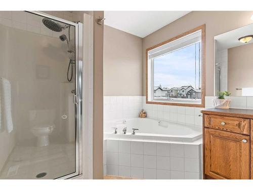 210 Saddlemont Boulevard Ne, Calgary, AB - Indoor Photo Showing Bathroom