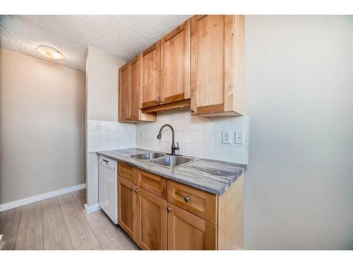 303-310 4 Avenue Ne, Calgary, AB - Indoor Photo Showing Kitchen With Double Sink