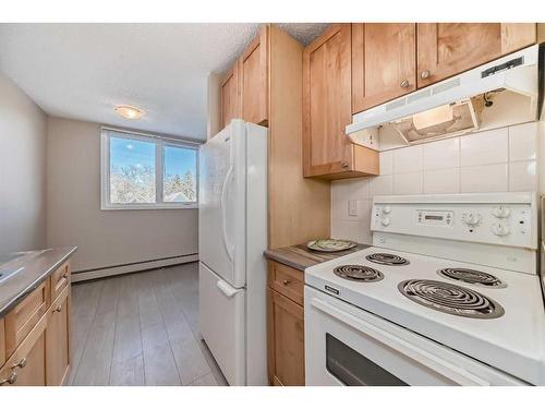 303-310 4 Avenue Ne, Calgary, AB - Indoor Photo Showing Kitchen