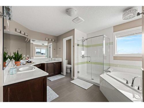 247 Valley Pointe Way Nw, Calgary, AB - Indoor Photo Showing Bathroom