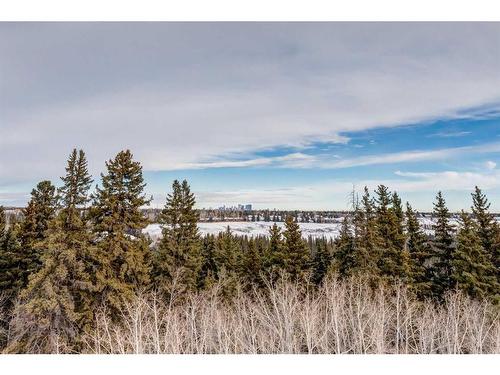 2467-2330 Fish Creek Boulevard Sw, Calgary, AB - Outdoor With View