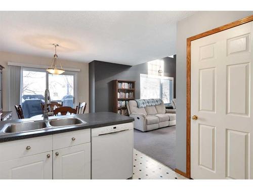 20 Douglas Glen Crescent Se, Calgary, AB - Indoor Photo Showing Kitchen With Double Sink