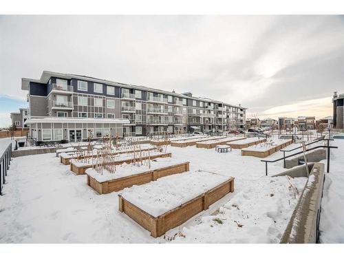 1222-76 Cornerstone Passage Ne, Calgary, AB - Outdoor