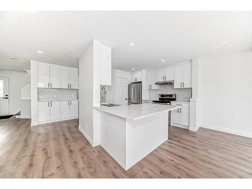 80 Saddleback Way Ne, Calgary, AB - Indoor Photo Showing Kitchen With Upgraded Kitchen