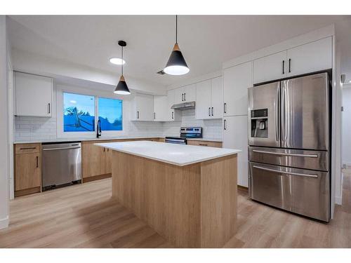 115 Pinecrest Crescent Ne, Calgary, AB - Indoor Photo Showing Kitchen With Stainless Steel Kitchen