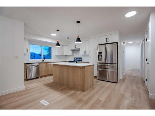 115 Pinecrest Crescent Ne, Calgary, AB - Indoor Photo Showing Kitchen With Stainless Steel Kitchen