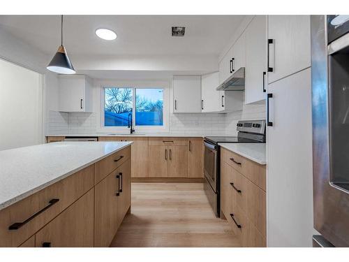 115 Pinecrest Crescent Ne, Calgary, AB - Indoor Photo Showing Kitchen