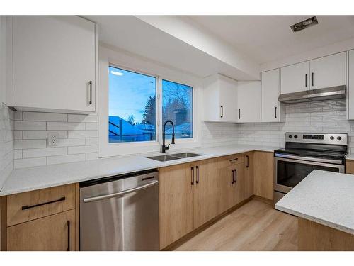 115 Pinecrest Crescent Ne, Calgary, AB - Indoor Photo Showing Kitchen With Stainless Steel Kitchen With Double Sink