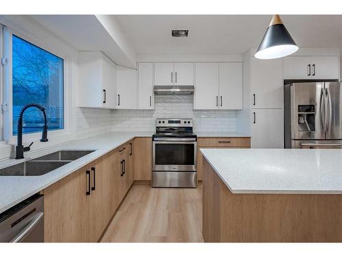 115 Pinecrest Crescent Ne, Calgary, AB - Indoor Photo Showing Kitchen With Stainless Steel Kitchen With Double Sink With Upgraded Kitchen