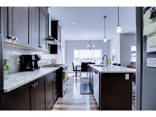 126 Saddlestone Park Ne, Calgary, AB - Indoor Photo Showing Kitchen With Upgraded Kitchen