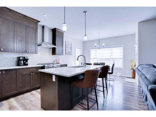 126 Saddlestone Park Ne, Calgary, AB - Indoor Photo Showing Kitchen With Upgraded Kitchen