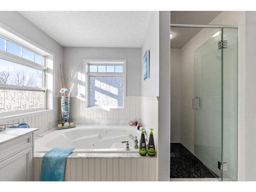 12 Hidden Creek Drive Nw, Calgary, AB - Indoor Photo Showing Bathroom