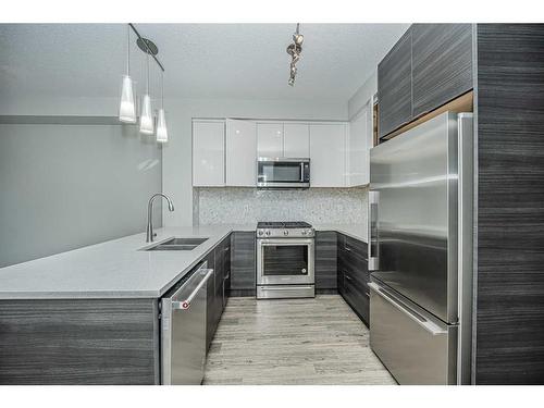 3113-95 Burma Star Road Sw, Calgary, AB - Indoor Photo Showing Kitchen With Stainless Steel Kitchen With Double Sink With Upgraded Kitchen