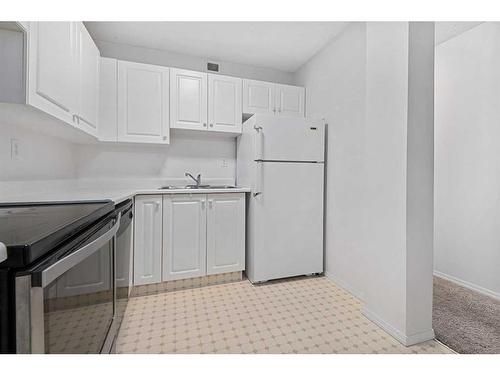 6A-231 Heritage Drive Se, Calgary, AB - Indoor Photo Showing Kitchen With Double Sink