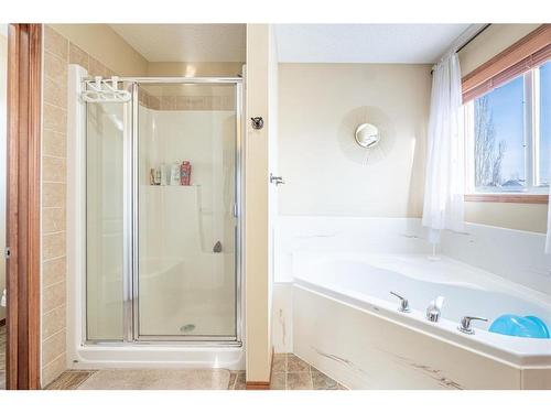 229 West Creek Boulevard, Chestermere, AB - Indoor Photo Showing Bathroom