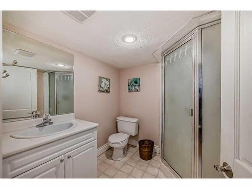 322043 8 Street East, Rural Foothills County, AB - Indoor Photo Showing Bathroom