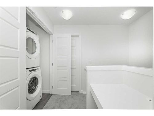 414-137 Red Embers Link Ne, Calgary, AB - Indoor Photo Showing Laundry Room