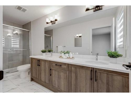 209 Homestead Terrace Ne, Calgary, AB - Indoor Photo Showing Bathroom