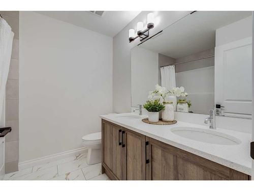 209 Homestead Terrace Ne, Calgary, AB - Indoor Photo Showing Bathroom