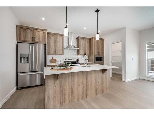 209 Homestead Terrace Ne, Calgary, AB - Indoor Photo Showing Kitchen With Stainless Steel Kitchen With Upgraded Kitchen