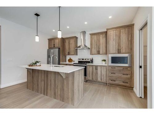 209 Homestead Terrace Ne, Calgary, AB - Indoor Photo Showing Kitchen With Stainless Steel Kitchen With Upgraded Kitchen