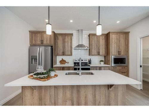 209 Homestead Terrace Ne, Calgary, AB - Indoor Photo Showing Kitchen With Stainless Steel Kitchen With Double Sink With Upgraded Kitchen