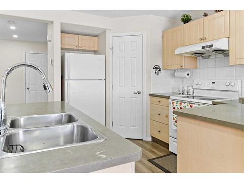 343 Taracove Estate Drive Ne, Calgary, AB - Indoor Photo Showing Kitchen With Double Sink