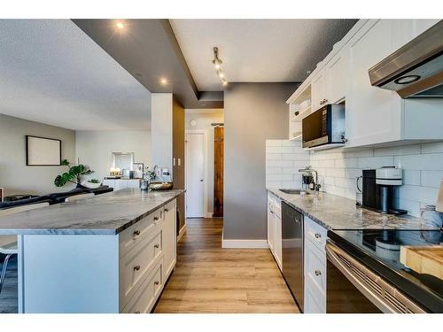 302-1027 Cameron Avenue Sw, Calgary, AB - Indoor Photo Showing Kitchen With Upgraded Kitchen