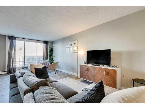 302-1027 Cameron Avenue Sw, Calgary, AB - Indoor Photo Showing Living Room